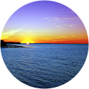 THANH BUI profile picture